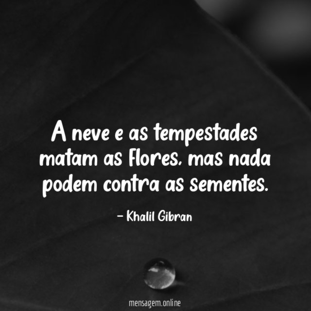 A neve e as tempestades matam as flores