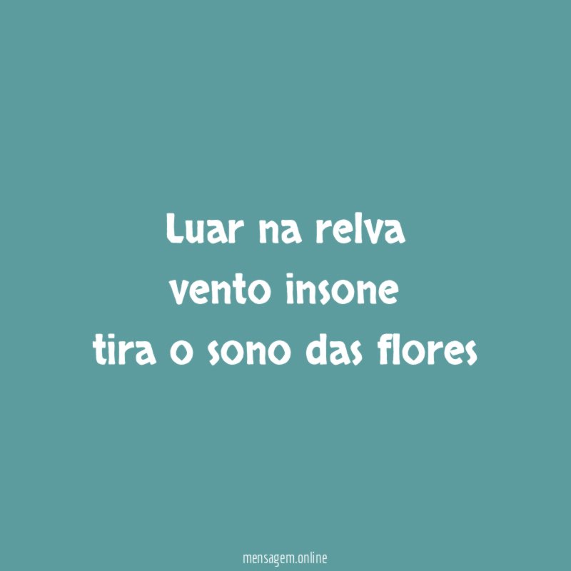 luar na relva vento insone tira o sono das flores