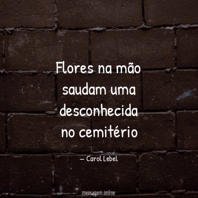 flores na mão saudam uma desconhecida no cemitério