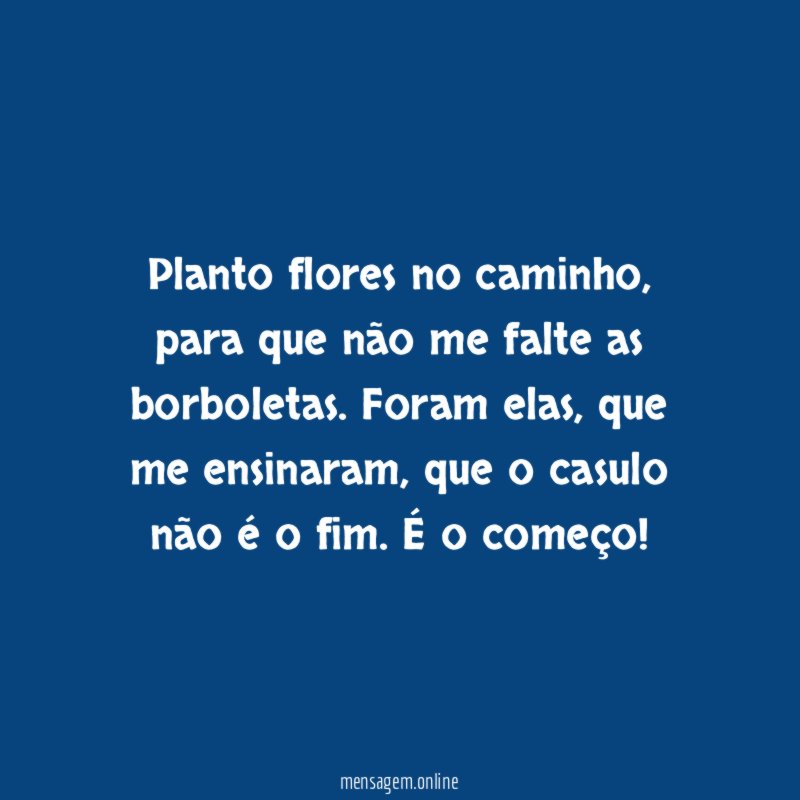 Planto flores no caminho