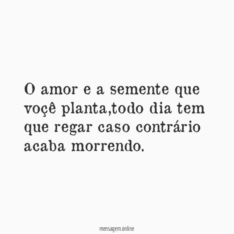 O amor e a semente que voçê planta