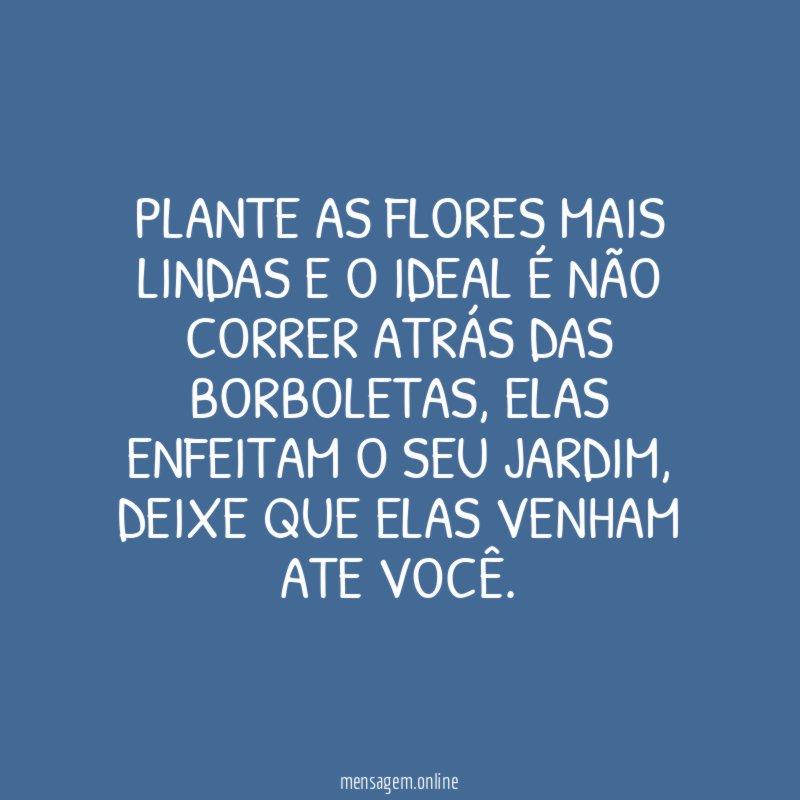 Plante as flores mais lindas e o ideal