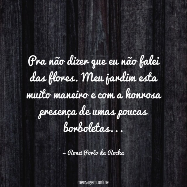 Pra não dizer que eu não falei das flores