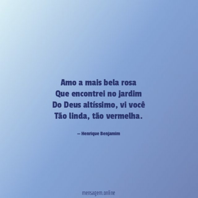 Amo a mais bela rosa Que encontrei no jardim Do