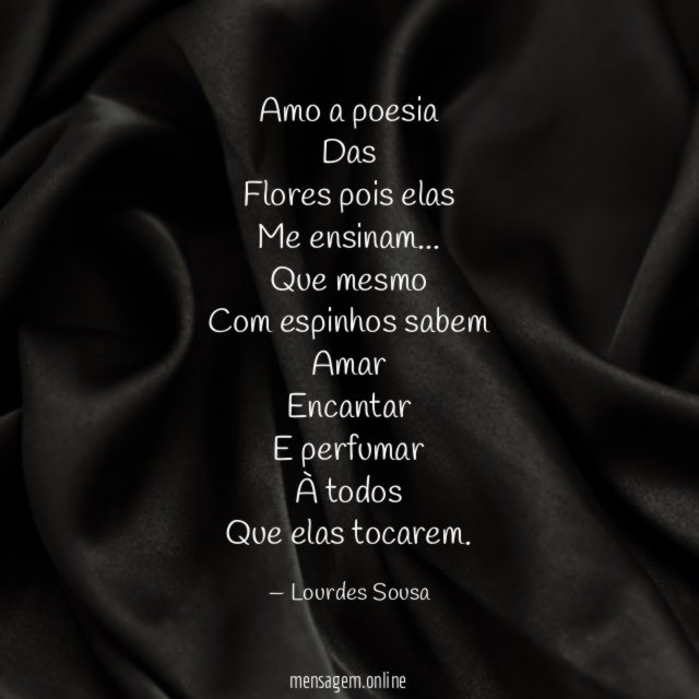 Amo a poesia