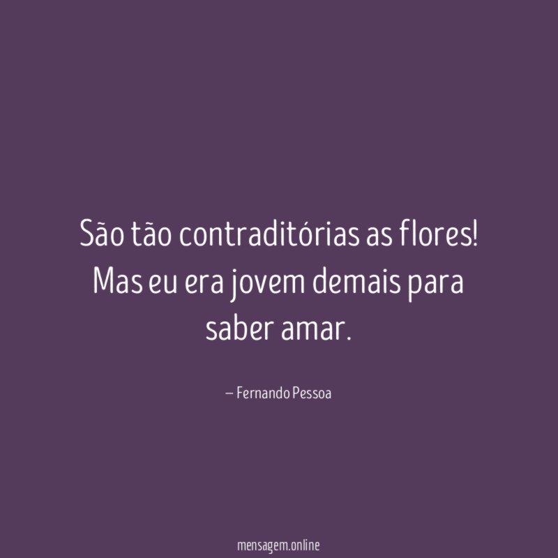 São tão contraditórias as flores