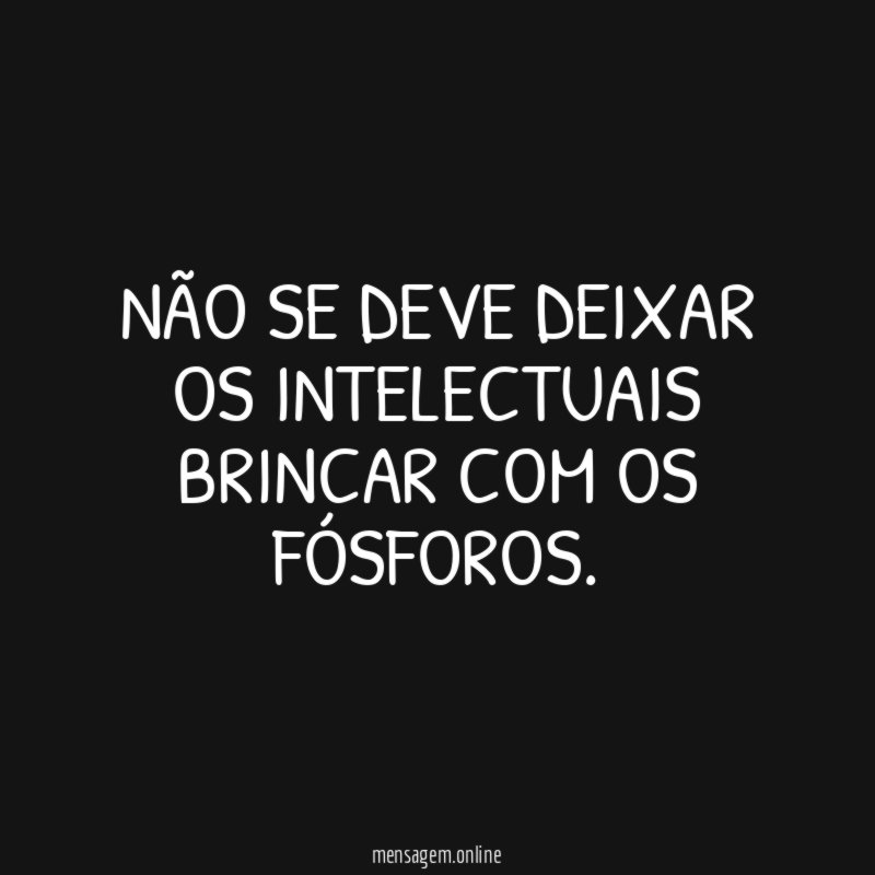 Não se deve deixar os intelectuais brincar com os fósforos