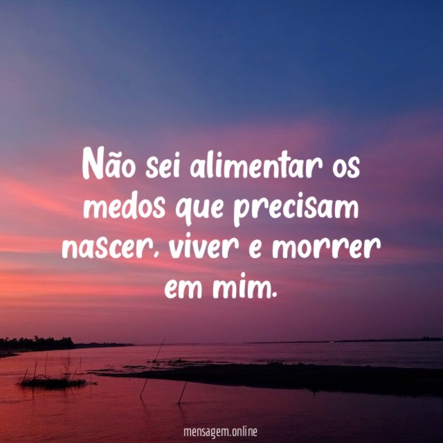 Não sei alimentar os medos que precisam nascer