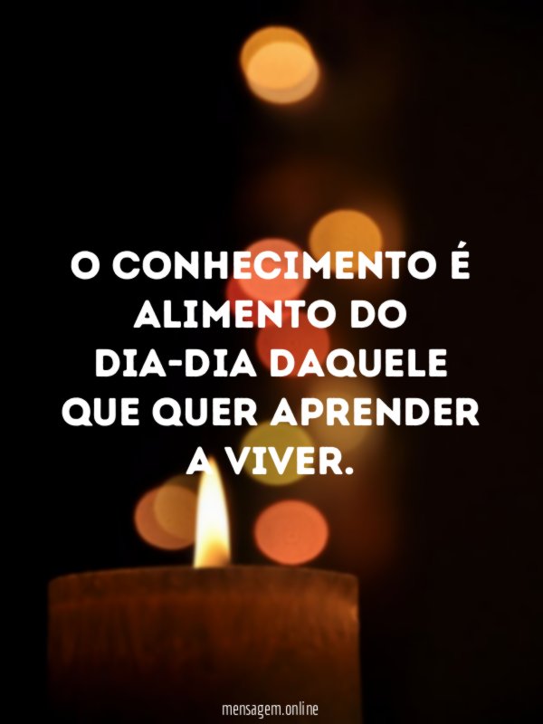 O conhecimento é alimento do dia-dia daquele que quer aprender a viver