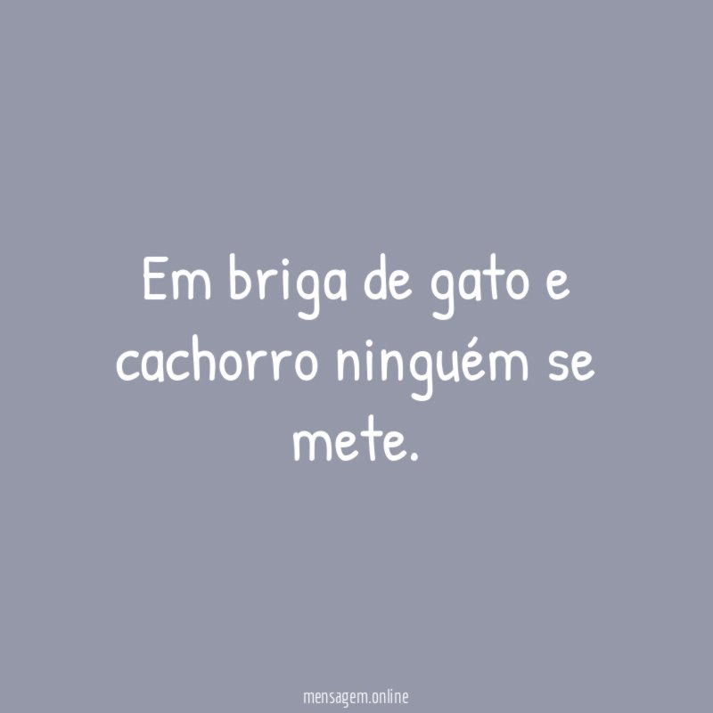Em briga de gato e cachorro ninguém se mete