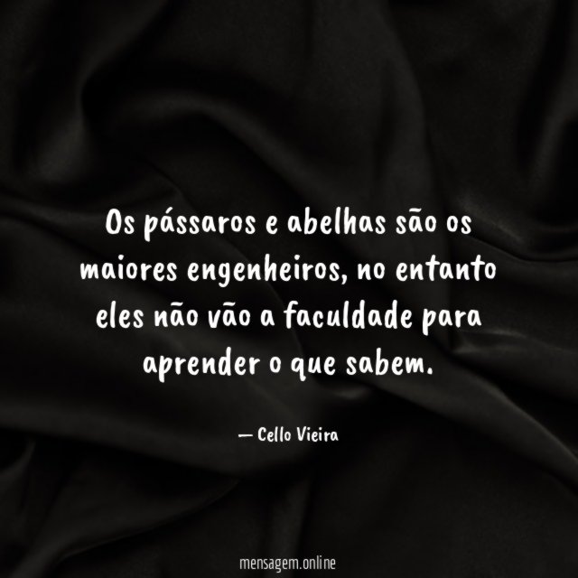 Os pássaros e abelhas são os maiores engenheiros