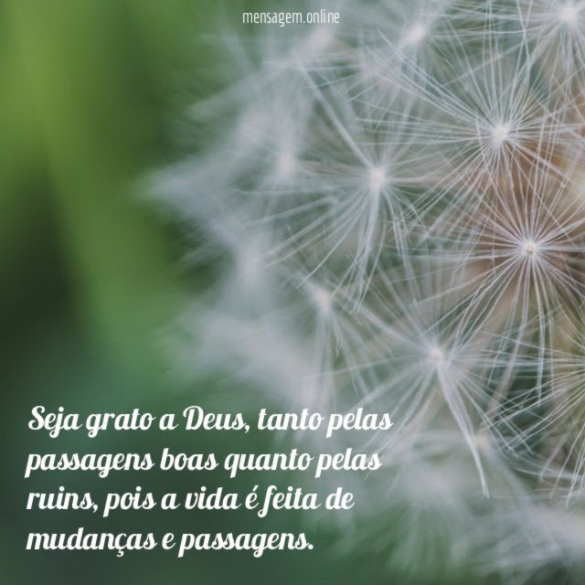 Seja grato a Deus
