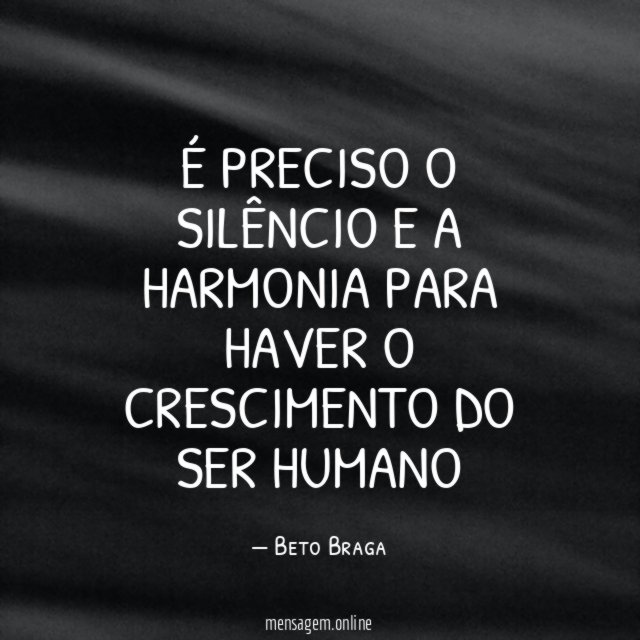 É PRECISO O SILÊNCIO E A HARMONIA PARA