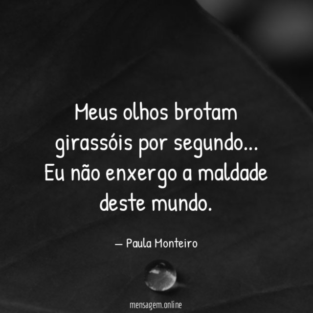 Meus olhos brotam girassóis por segundo