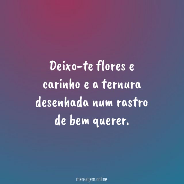 Deixo-te flores e carinho e a ternura desenhada