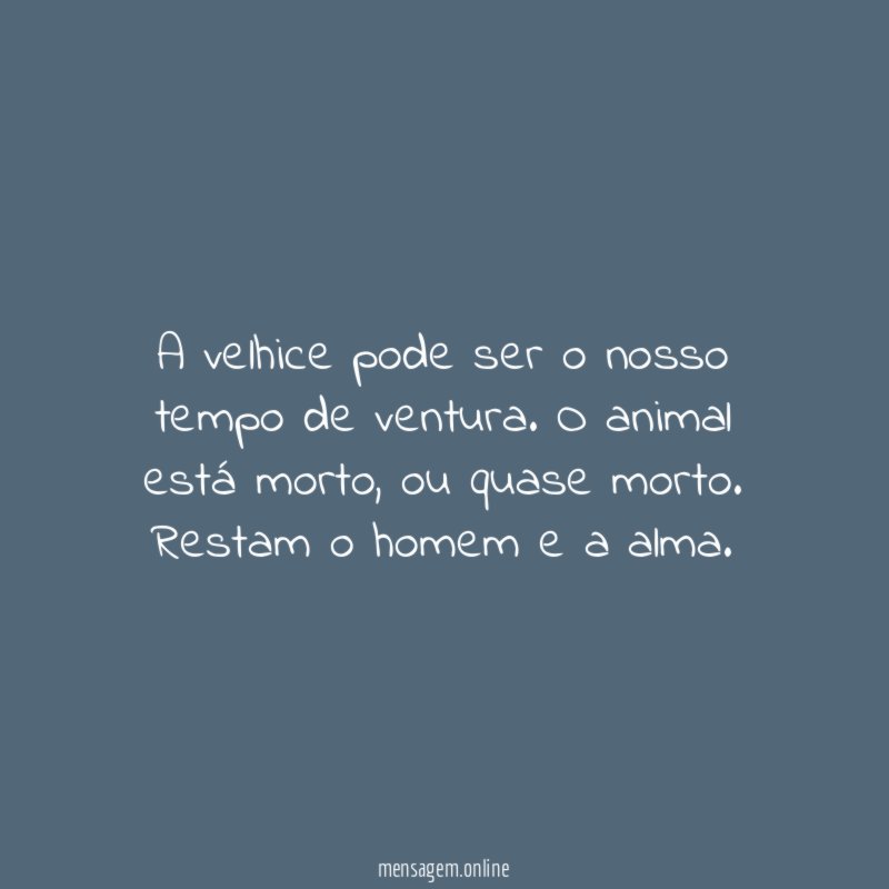 A velhice pode ser o nosso tempo de ventura