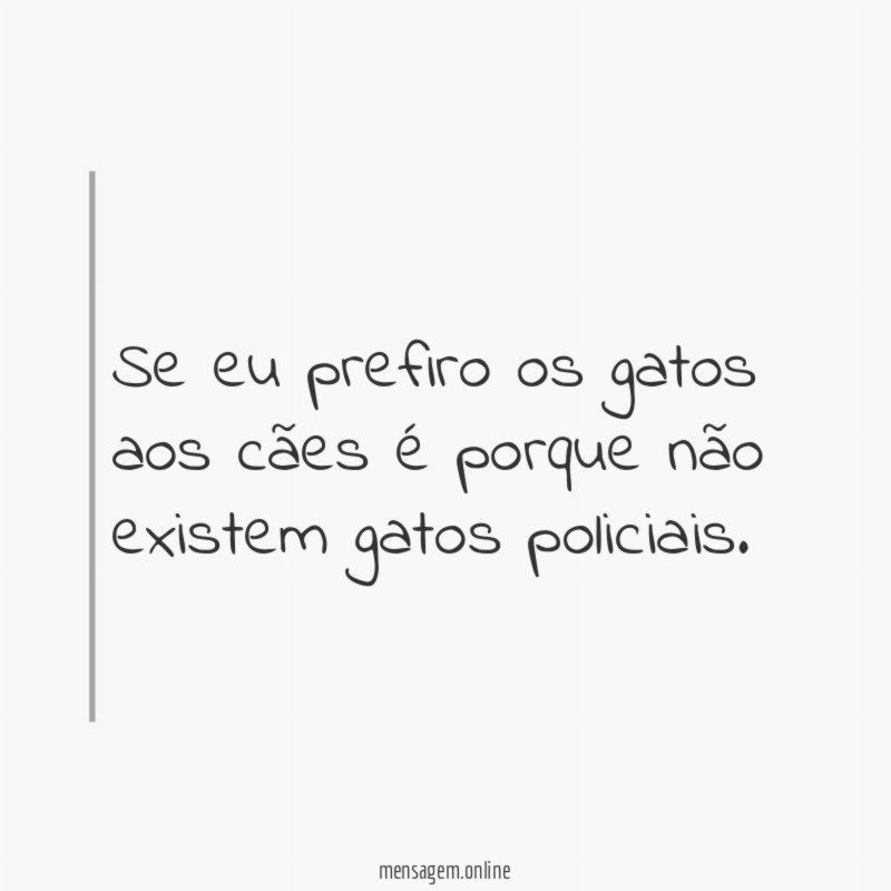 Se eu prefiro os gatos aos cães é