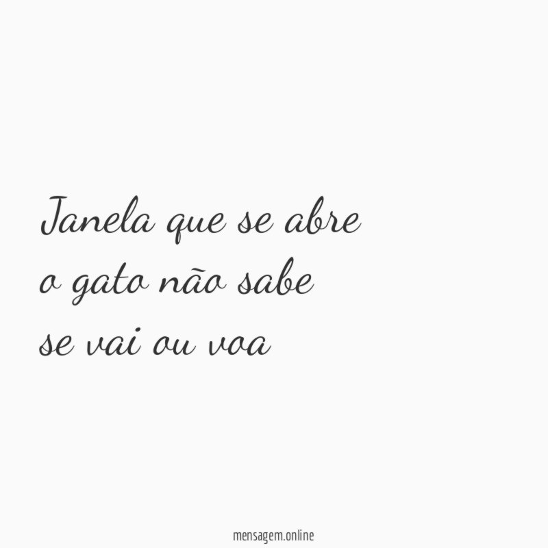 janela que se abre o gato não sabe se vai
