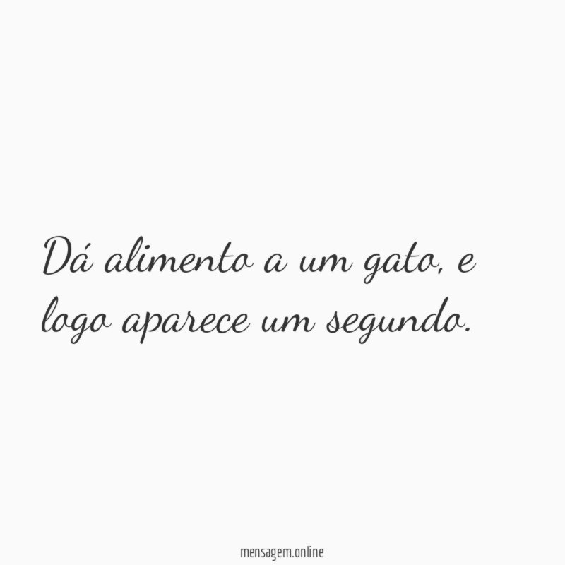 Dá alimento a um gato
