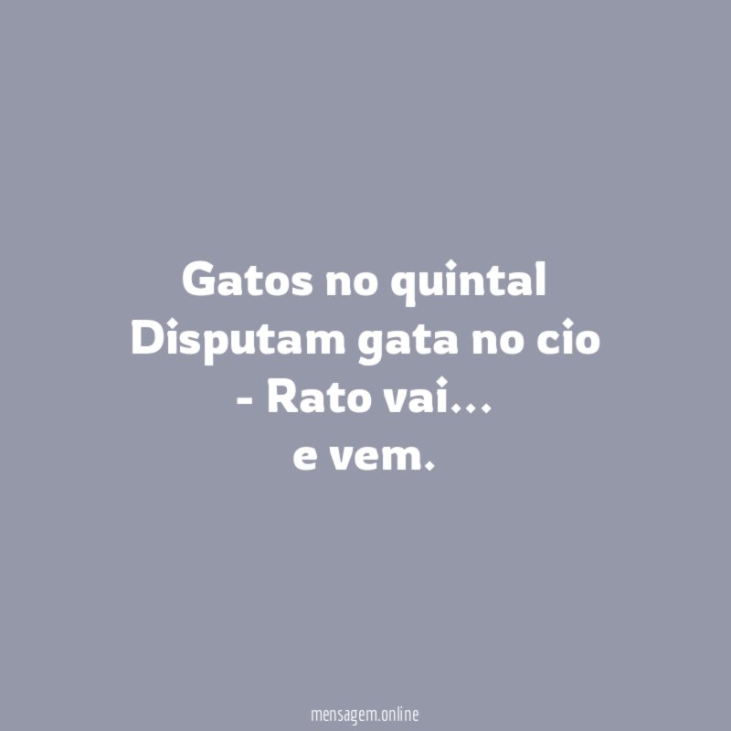 Gatos no quintal Disputam gata no cio - Rato vai