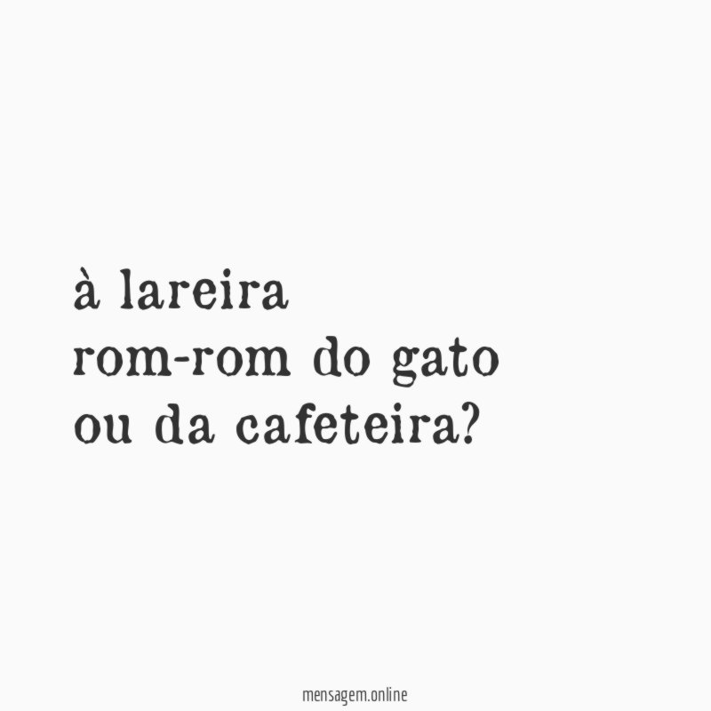 à lareira rom-rom do gato ou da cafeteira