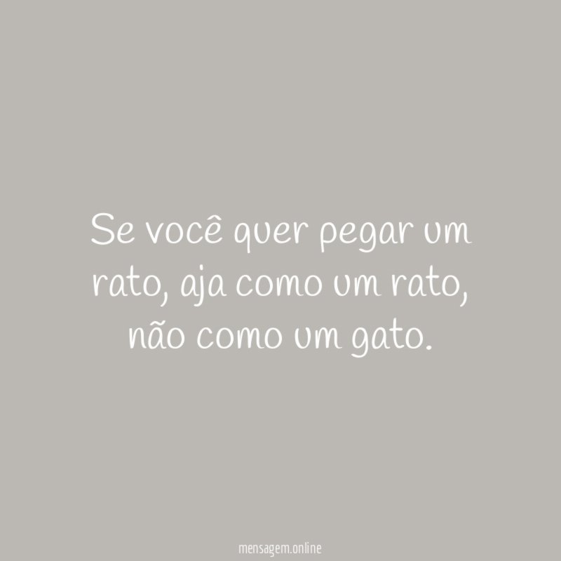 Se você quer pegar um rato
