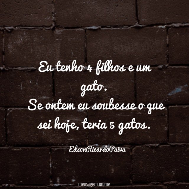 Eu tenho 4 filhos e um gato