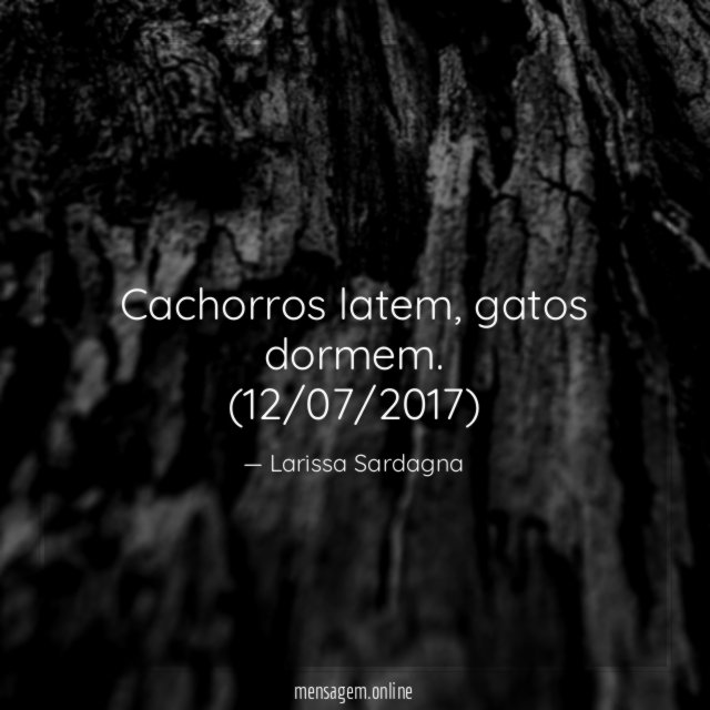 Cachorros latem
