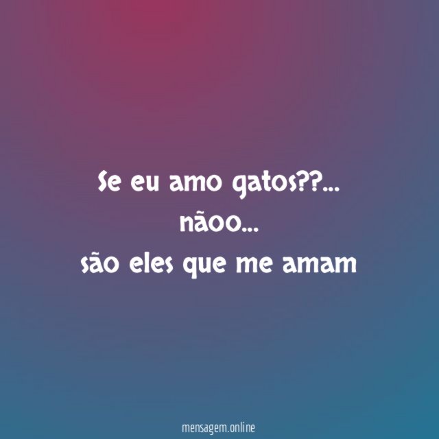 Se eu amo gatos