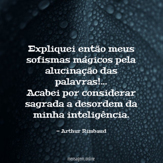 Expliquei então meus sofismas mágicos pela alucinação das palavras