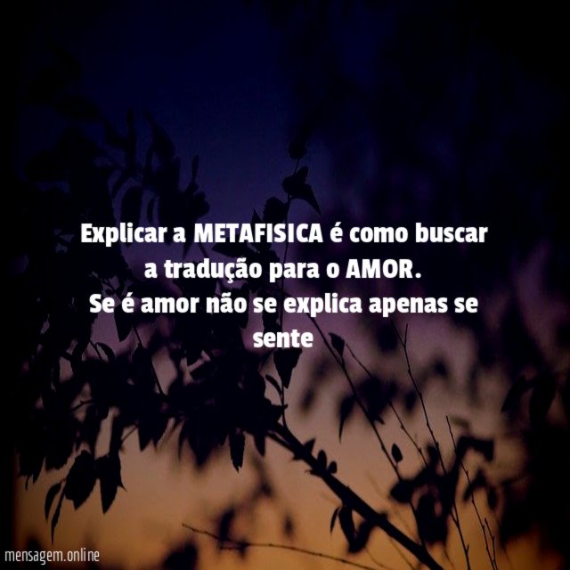Explicar a METAFISICA é como buscar a tradução para o AMOR