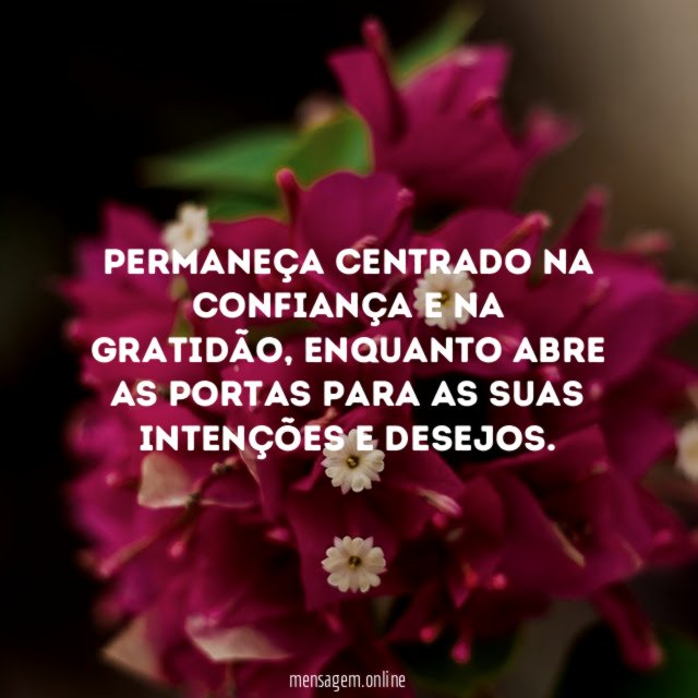 Permaneça centrado na confiança e na gratidão