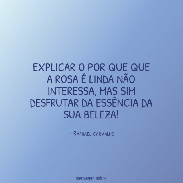 Explicar o por que que a rosa é linda não interessa