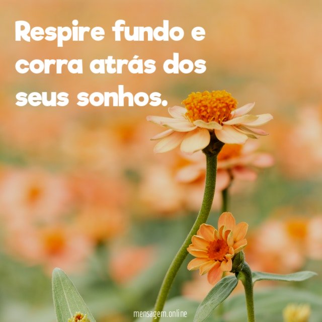 Respire fundo e corra atrás dos seus sonhos
