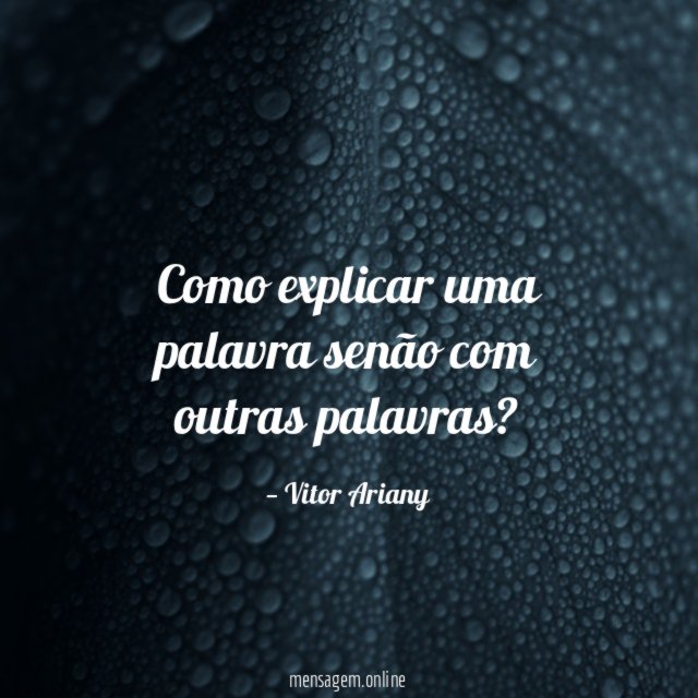 Como explicar uma palavra senão com outras palavras