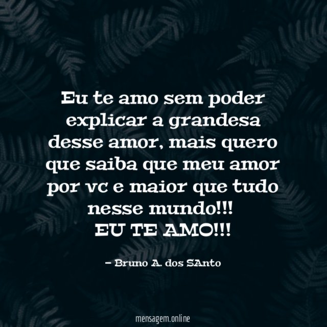 Eu te amo sem poder explicar a grandesa desse amor