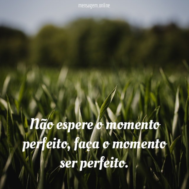 Não espere o momento perfeito