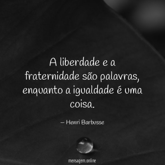 A liberdade e a fraternidade são palavras