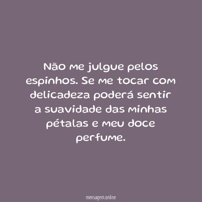 Não me julgue pelos espinhos