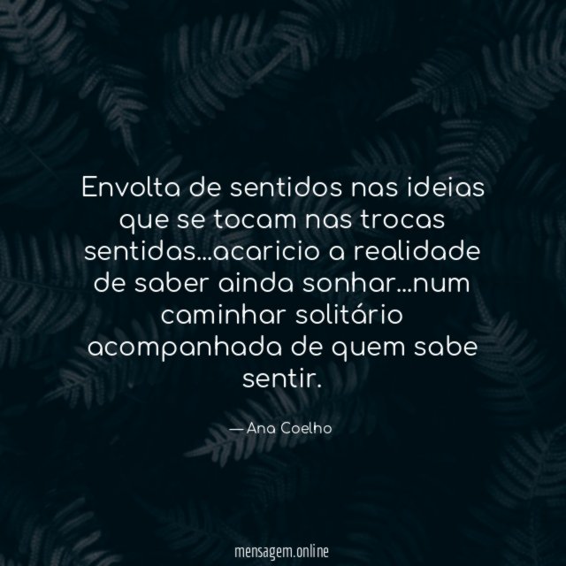 Envolta de sentidos nas ideias que se tocam nas trocas sentidas
