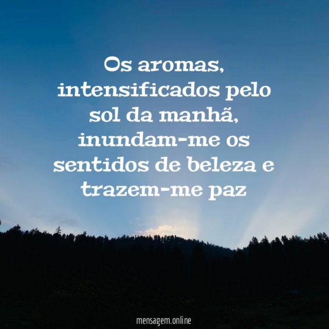 Os aromas