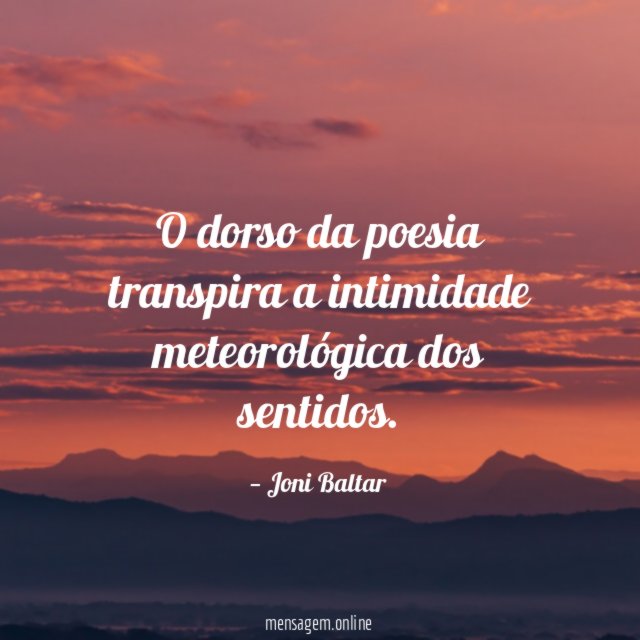 O dorso da poesia transpira a intimidade meteorológica dos sentidos