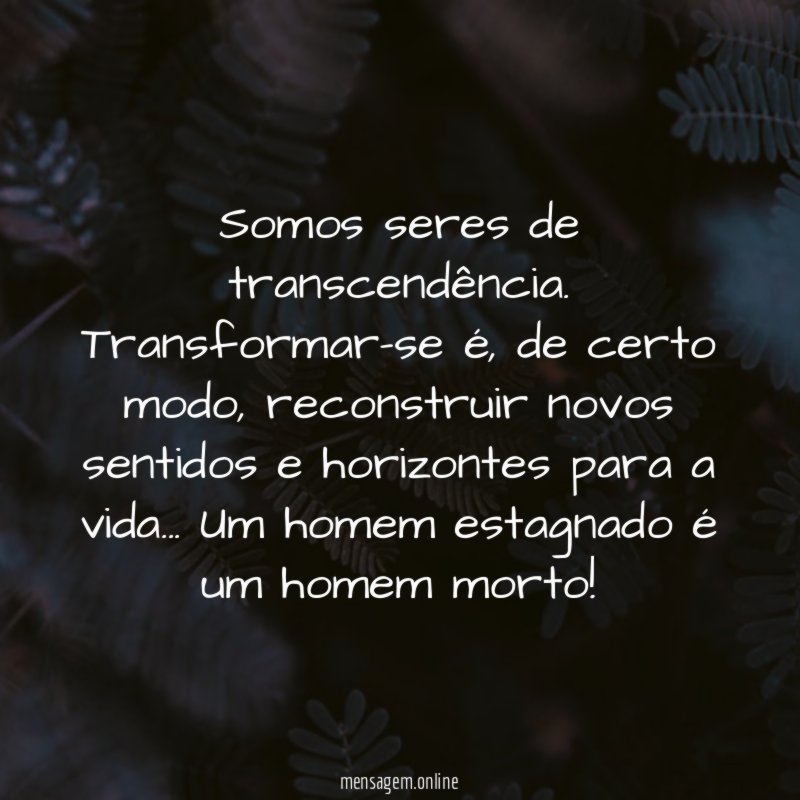 Somos seres de transcendência