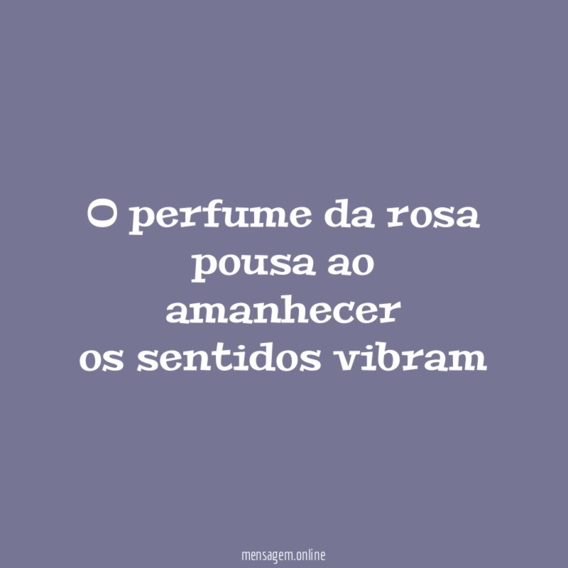 o perfume da rosa pousa ao amanhecer os sentidos vibram