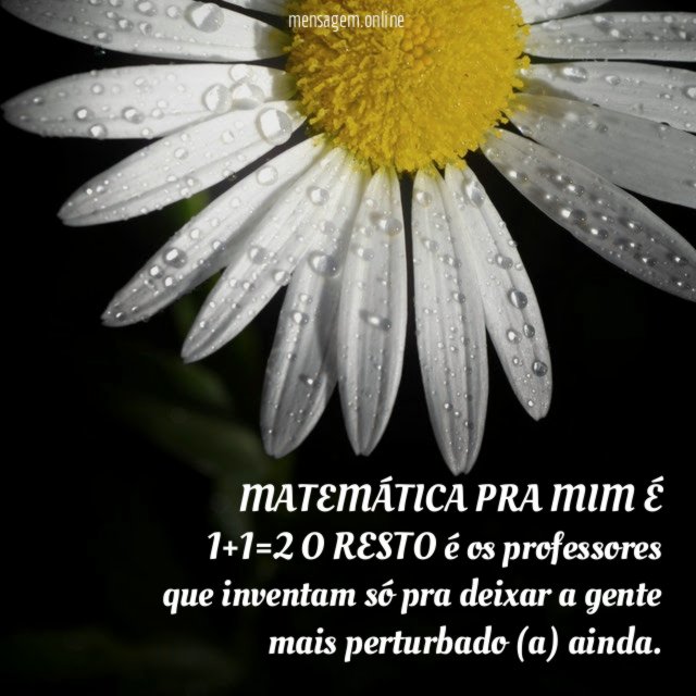MATEMÁTICA PRA MIM É 1+1=2 O RESTO é