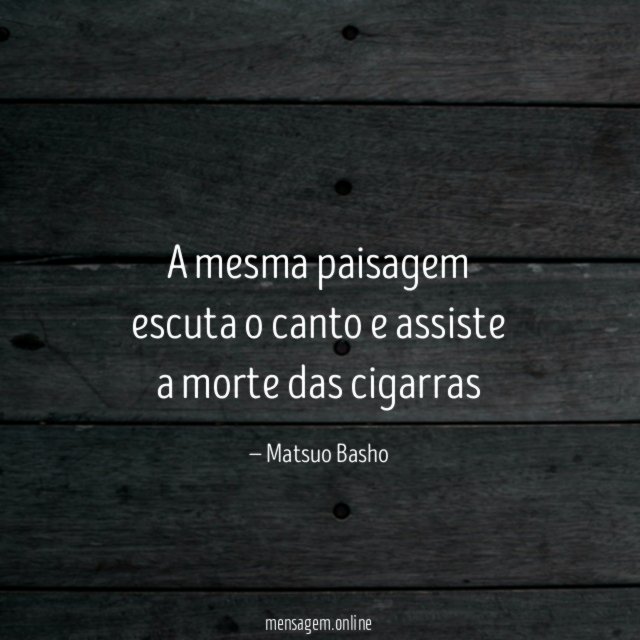 A mesma paisagem escuta o canto e assiste a morte das cigarras