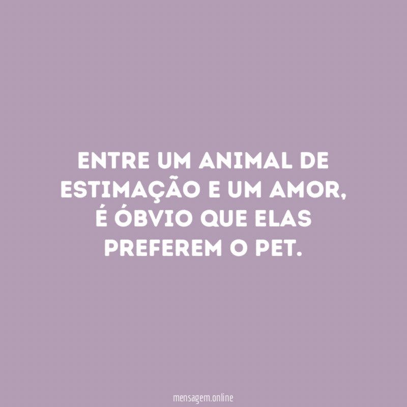 Entre um animal de estimação e um amor