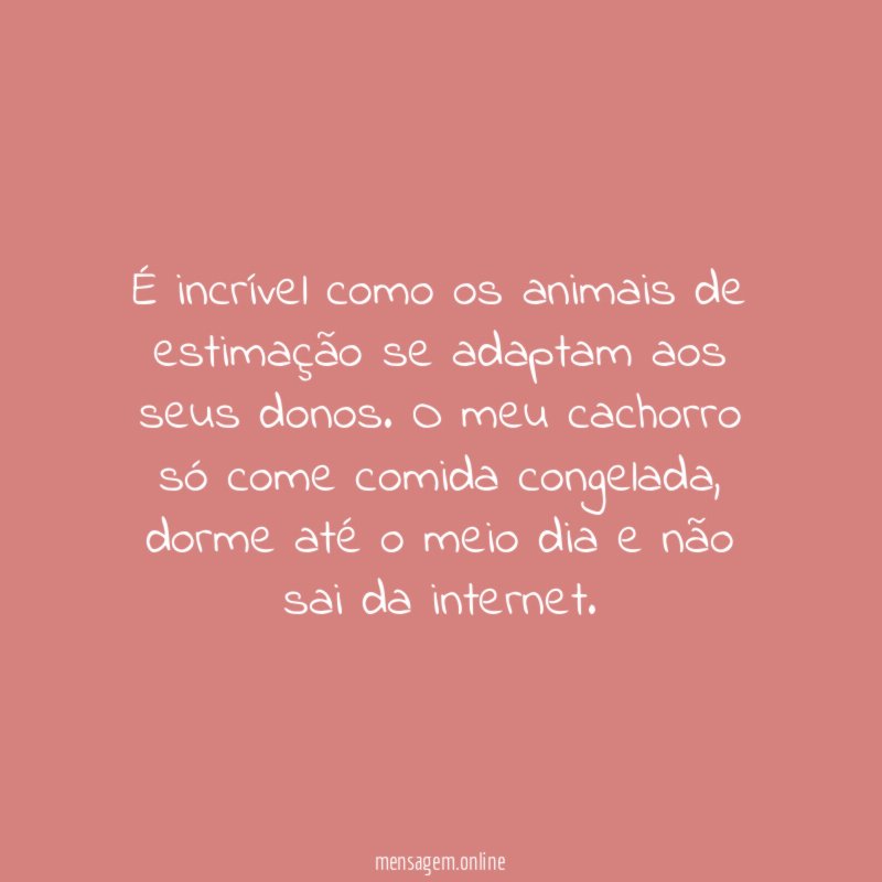 É incrível como os animais de estimação se