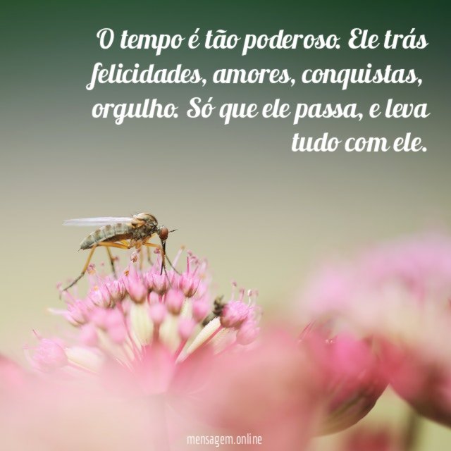 O tempo é tão poderoso