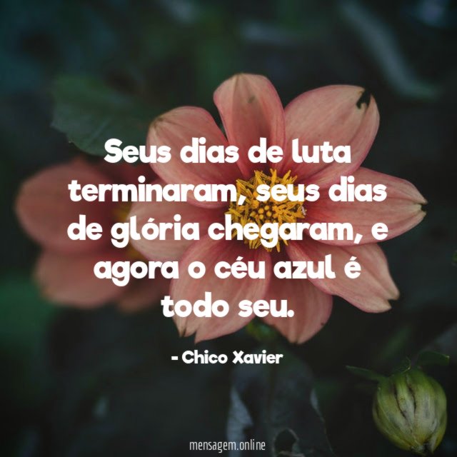 Seus dias de luta terminaram